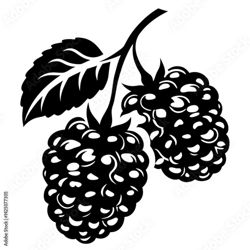 Black and White Blackberry Illustration with Leaf and Stem in Silhouette