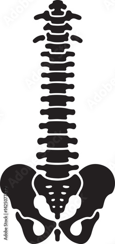 Spinal cord vector icon
