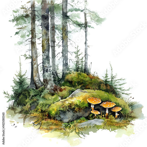 Forest ground awakening with moss and fungi, watercolor illustration, isolated on a white background.

