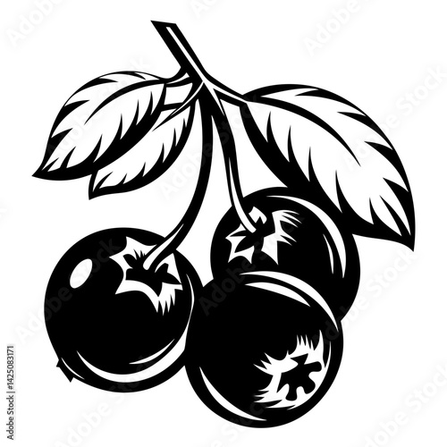 Elegant black and white illustration of blueberries with leaves and stem
