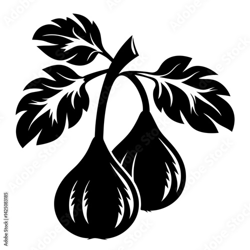 Two black figs on a branch with large detailed leaves vector illustration