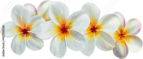 Frangipani flower arrangement with white petals. Design for greeting cards and invitations for weddings, birthdays, Valentine's Day, Mother's Day and other holidays.