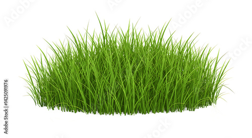 A clump of vibrant green grass isolated on a black background in a studio shot for decoration