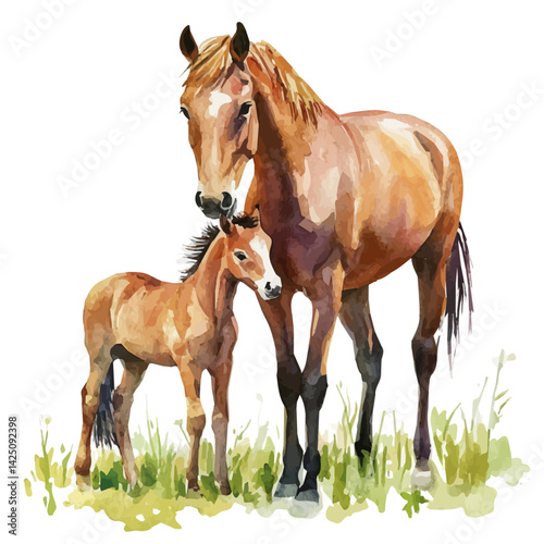 Foal playing beside its mother, watercolor illustration, isolated on a white background.

