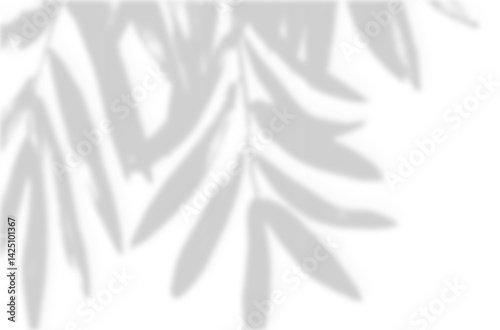 Realistic blurred leaf shadow effect isolated on transparent background. blur branch leaves shadow. Plant foliage silhouette. Nature design element for spring summer, mockup for product presentation