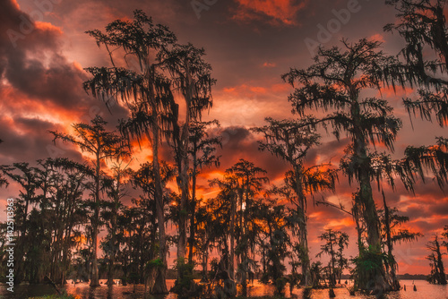 Fototapeta Naklejka Na Ścianę i Meble -  sunset in the swamps