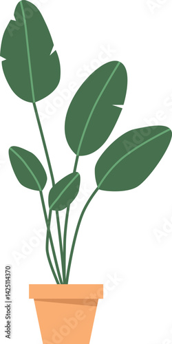 Ficus home flower pot vector illustration