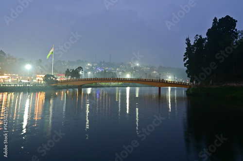 The night view of Mirik Lake is a serene and enchanting sight. Soft lights reflect gently off the calm water, creating a shimmering mirror-like surface. 