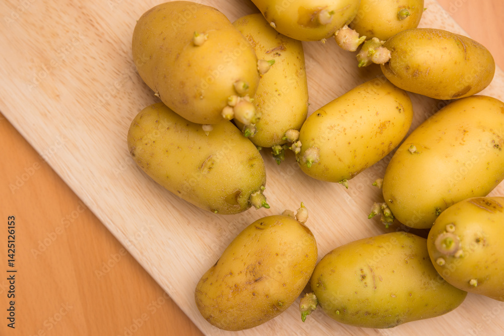 Organic sprouted potatoes ready for planting Organic sprouted potatoes ready for planting