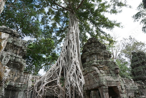 Cambodia
