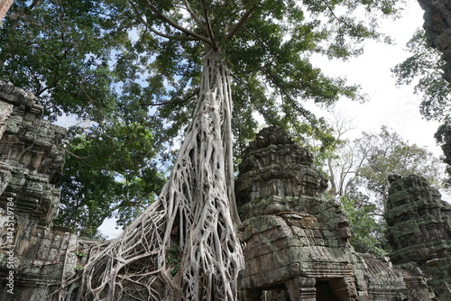 Cambodia