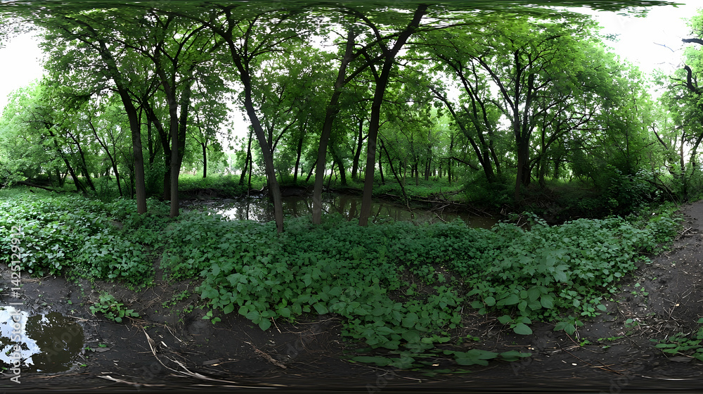 Obraz premium Lush green forest, tranquil pond, sunlight filtering through leaves, summer serenity; ideal for nature documentaries or travel brochures