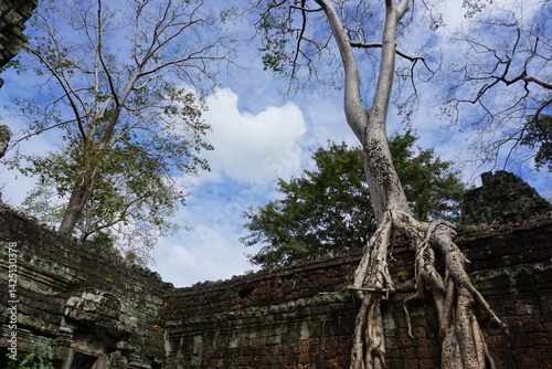 Cambodia