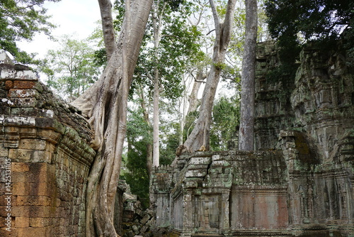 Cambodia