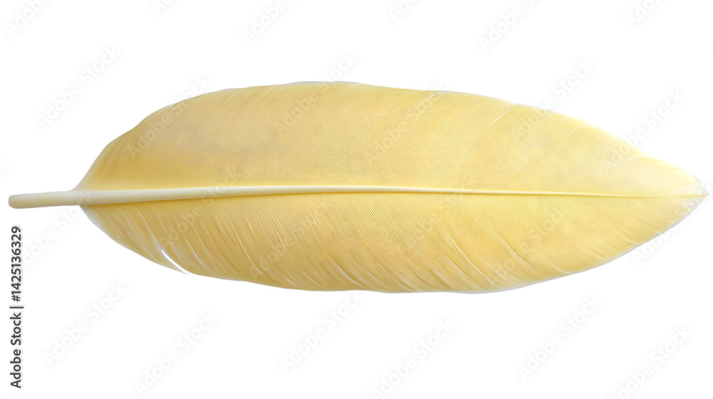 Isolated Realistic Photo of Yellow Feather on Transparent Background Isolated Realistic Photo of Yellow Feather on Transparent Background