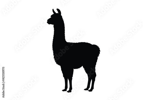 Llama silhouette. This image shows a black silhouette of a llama, also known as an alpaca, standing in profile with detailed fur and body shape. Vector clipart illustration design.