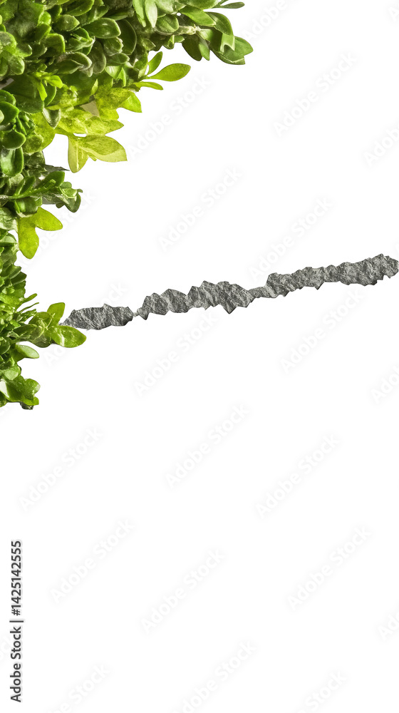 Naklejka premium Isolated Photo of Green Leaves and Branch on Transparent Background