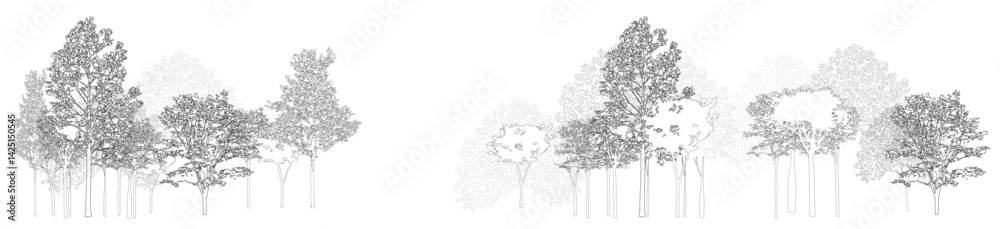 Architectural Drawings, Minimal style cad tree line drawing, Side view, set of section wetland forest outline for landscape design drawing. Vector illustration