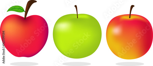 Fresh Apple Set with Red Green and Fuji Variants in Cartoon Style for Food and Fruit Design