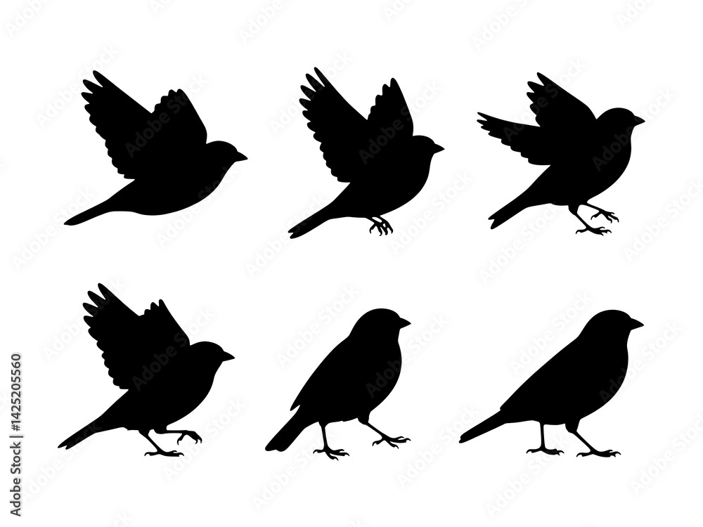 Fototapeta premium silhouettes of sparrow birds set of sparrow birds set of silhouettes of sparrow birds
