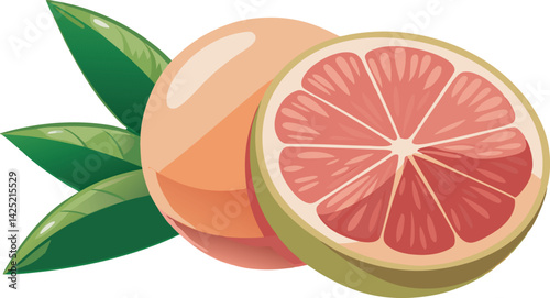 A vibrant, detailed vector art illustration of a beautiful grapefruit, showcasing fresh, juicy slices with bright colors and realistic textures.