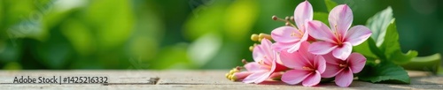 Pink and white flower bouquet placed on a table with a greenery background, greenery, garden