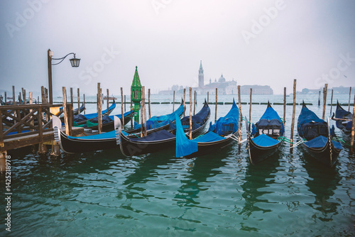 moored gondolas in Venice