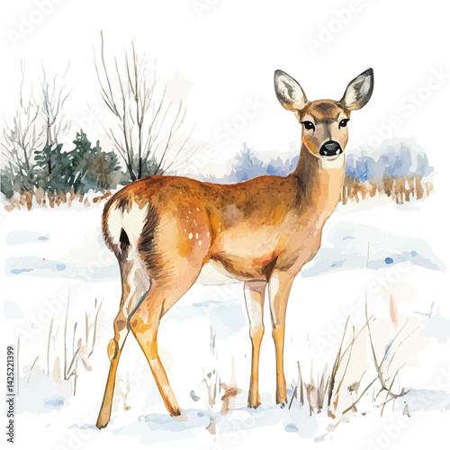 Deer standing still in a snowy field, watercolor illustration, isolated on a white background.

