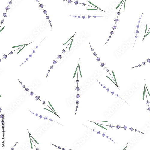 A sprig of lavender on a white background, seamless pattern, vector illustration, hand-drawn. Delicate floral background, an element for decoration, design, labels, wrapping paper, wallpaper, fabric