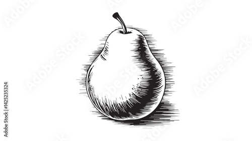 Detailed botanical line art in black and white of a single pear with tonal variation and fine crosshatched textures in a delicate hand drawn engraving style