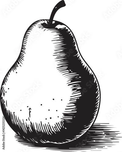 Classic hand drawn pear illustration in black and white showcasing detailed textures and tonal shading achieved through intricate crosshatching technique
