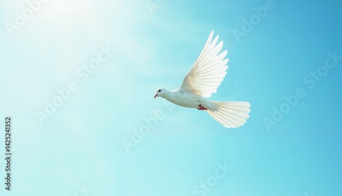 Graceful white dove flying against clear blue sky in serene atmosphere