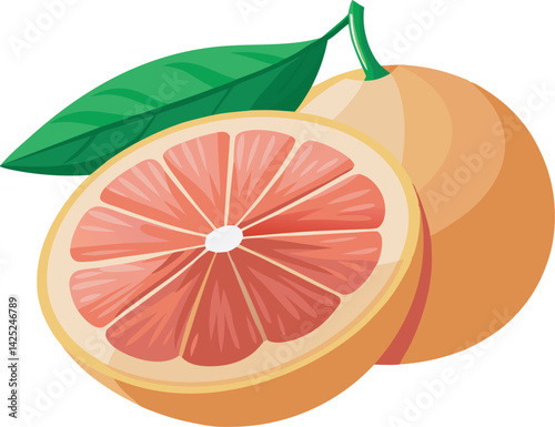 A vibrant and detailed vector art illustration of a beautiful grapefruit, showcasing fresh, juicy segments in a colorful, eye-catching style