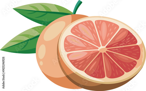 A vibrant and detailed vector art illustration of a beautiful grapefruit, showcasing fresh, juicy segments in a colorful, eye-catching style