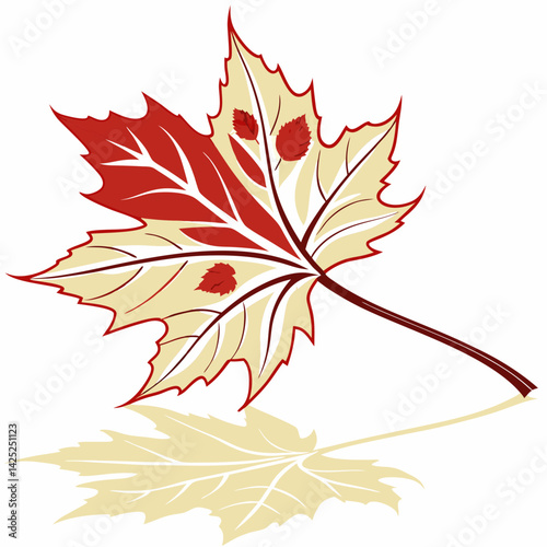 Fallen leaf vector with white background 