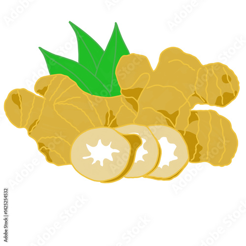 A bright and clear illustration of fresh ginger root