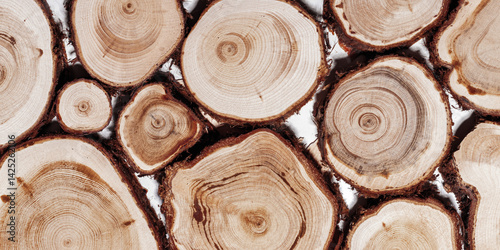 Obraz na płótnie Round Slices of wood timber of juniper tree as natural geometric pattern, abstract nature banner. Natural wooden organic textures, monochrome brown beige gradient, earthy tone, top view backdrop w salonie