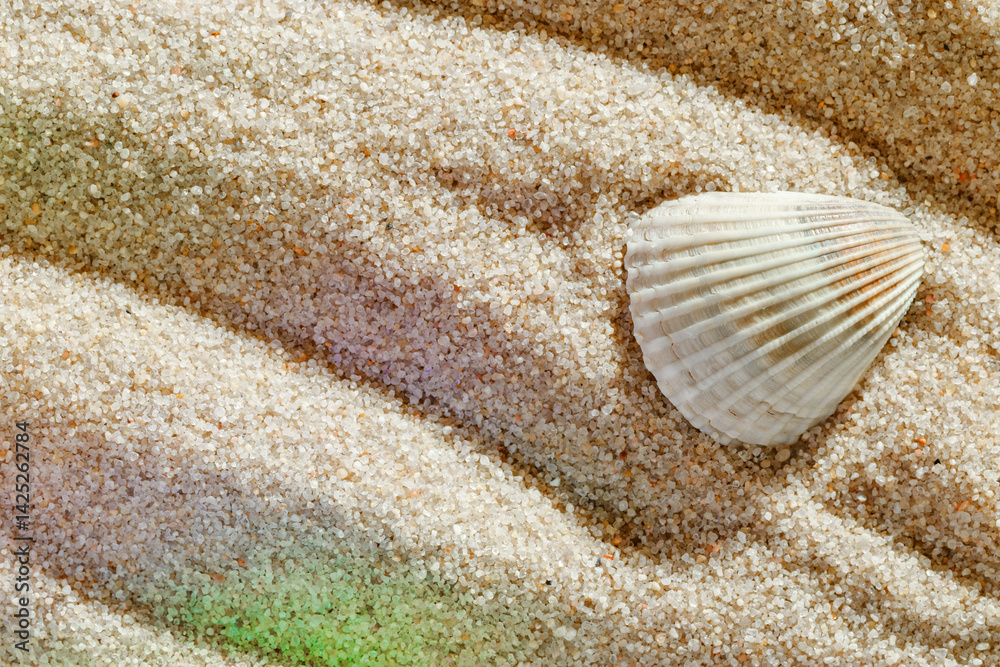 Seashell on Smooth Sandy background, One shell on fine sand with gentle wave pattern, minimal and peaceful beach-inspired composition under soft light with sunlight rainbow flare, top view, copyspace