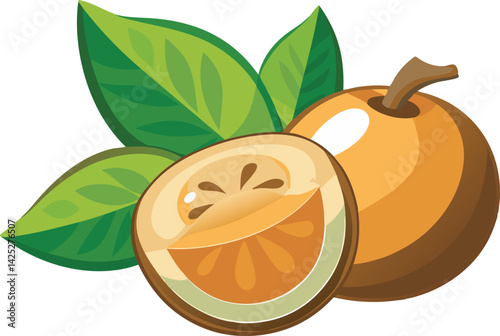 A vibrant vector art illustration showcasing the beautiful mamey sapote fruit, highlighting its rich color, texture, and tropical appeal.