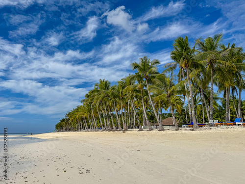 Wallpaper Mural Tropical Paradise: Palm-Lined Beach on Panglao Island, Philippines Torontodigital.ca