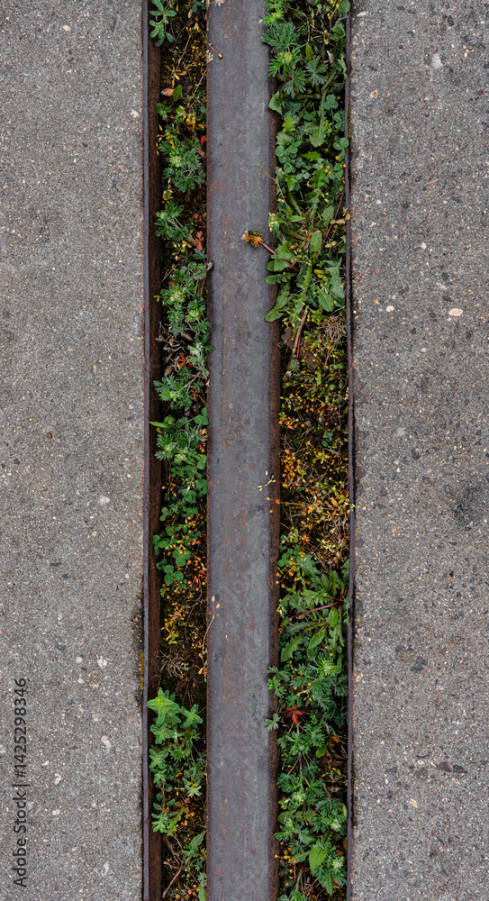 Alte Eisenbahnschiene