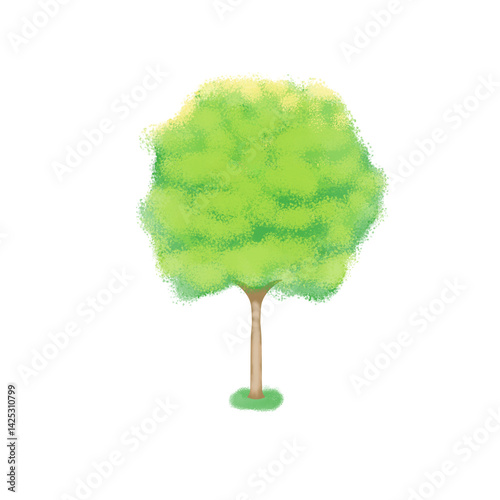 green tree on white background