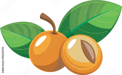 A vibrant vector art illustration of beautiful loquats, showcasing fresh, ripe fruit with lush green leaves in a realistic, colorful style.