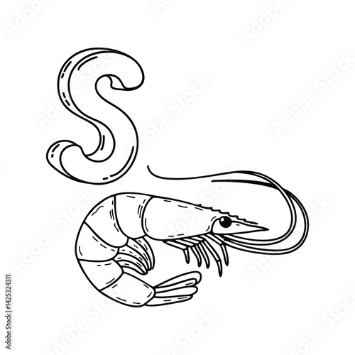 An illustration of letter S stand for Shrimp