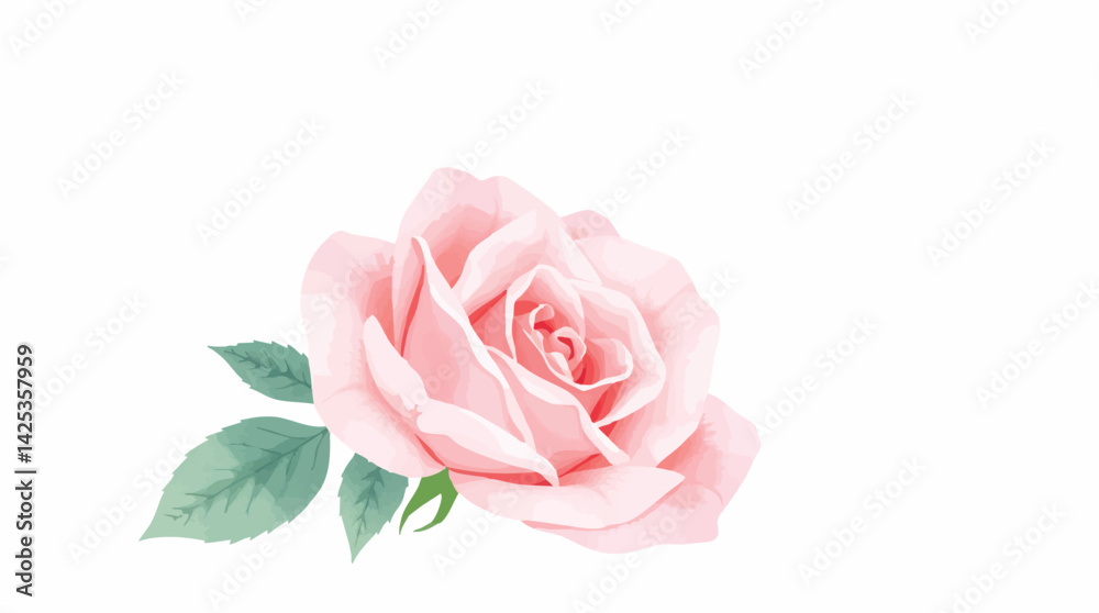 Watercolor pink rose flower isolated on white. Elegant floral illustration for design and decor.