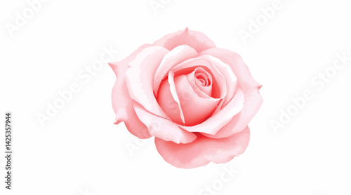 Watercolor pink rose flower isolated on white. Elegant floral illustration for design and decor.