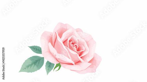 Watercolor pink rose flower isolated on white. Elegant floral illustration for design and decor.