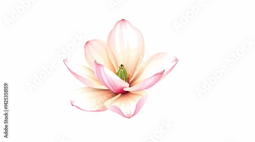 Pale pink magnolia flower in watercolor. Elegant floral illustration isolated on white.