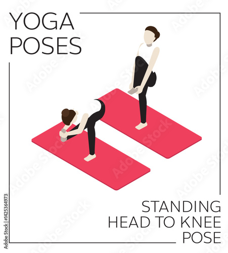 Yoga Standing Head to Knee Pose Isometric Vector Set photo