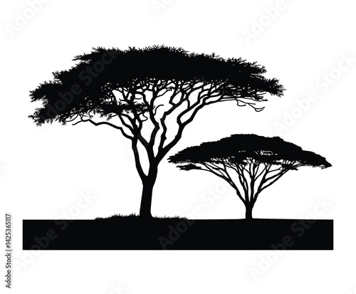 Minimal Acacia Tree Silhouette EPS Illustration